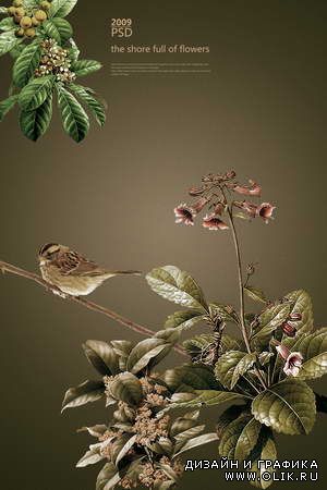 Птицы и цветы  Birds and flowers - PSD Files
