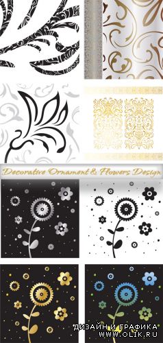 Decorative Ornament & Flowers Design