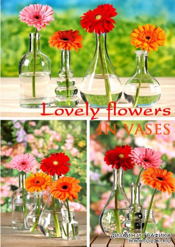 Lovely flowers in vases