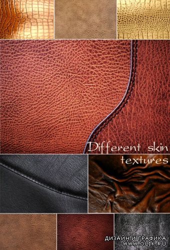 Different skin - textures