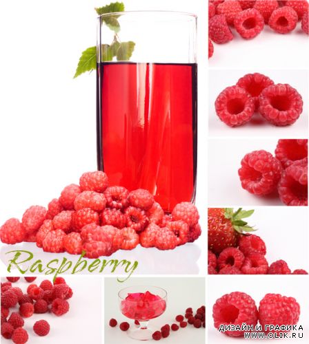Raspberry | Малина