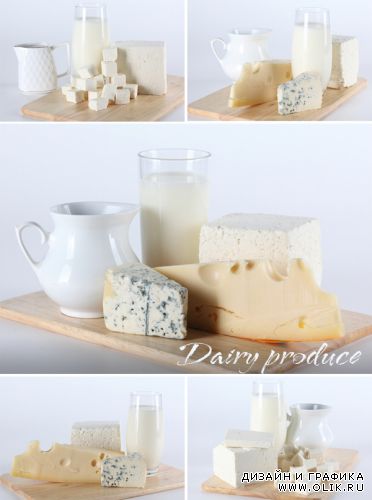 Mолочные продукты | Dairy produce