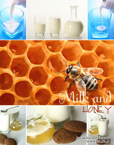 Молоко и мед | Milk and honey