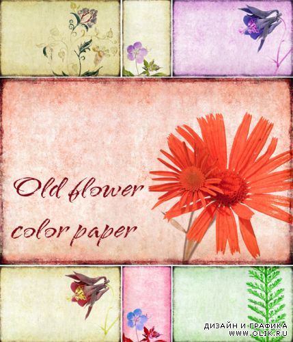 Old flower color paper