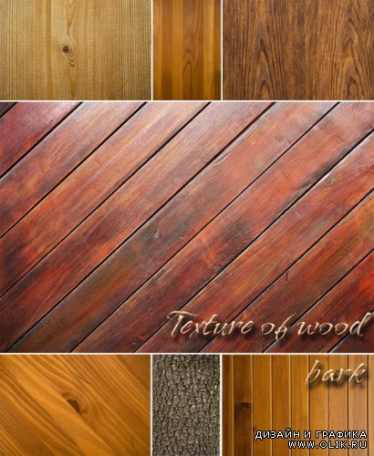 Texture of wood, bark