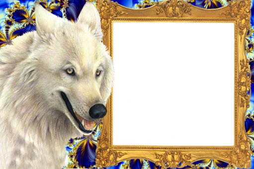 Рамка для фотошопа - Белый волк