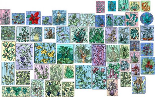 Vector Plants and Flowers - Большая векторная коллекция Растений