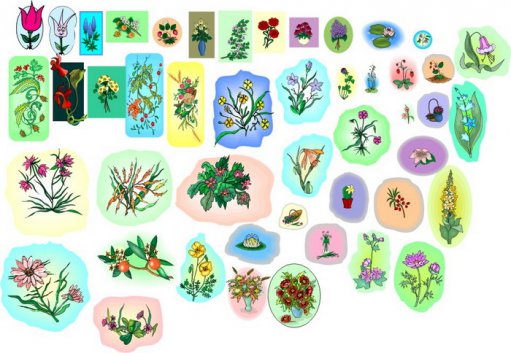 Vector Plants and Flowers - Большая векторная коллекция Растений