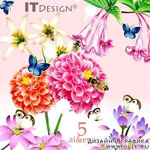 IT Design Flowers & Insects