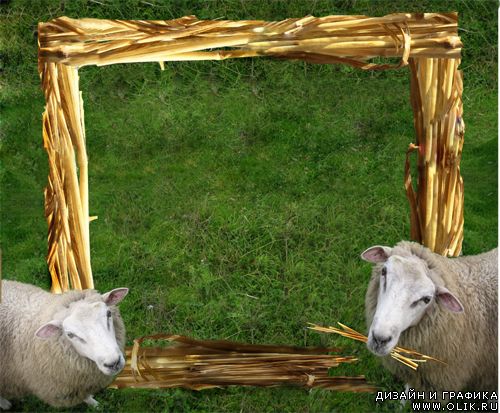 рамка с овечками
