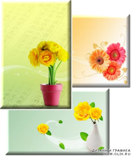 PSD - Цветы 13 PSD – Flowerses 13