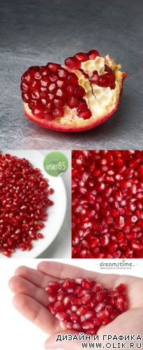 Растровый клипарт - DT Pomegranate