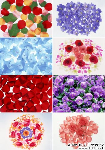 Клипарт – Цветочные узоры Klipart – Floral patterns