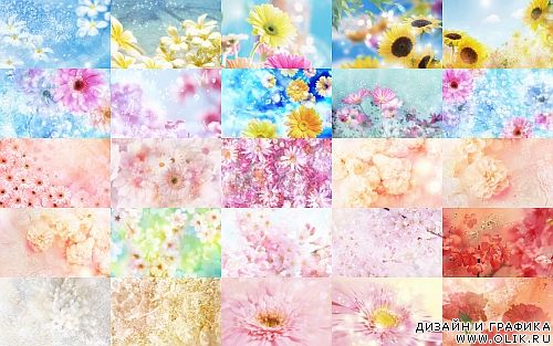 80 Floral Backgrounds