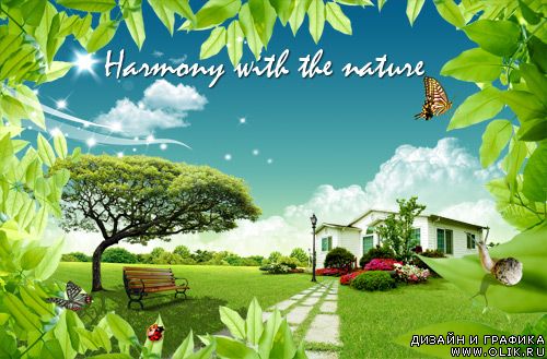 Harmony with the nature (Vol.1)