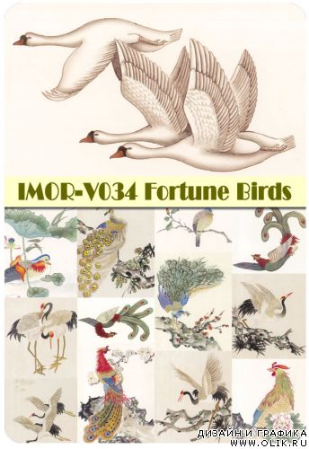 Fortune Birds (MOR-V034)