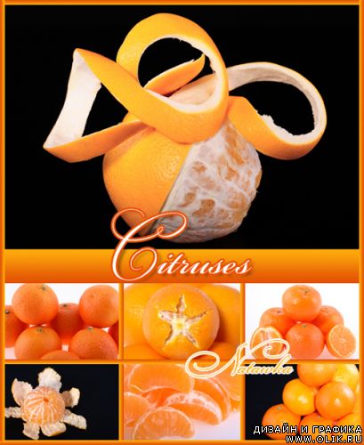 Апельсины и мандарины