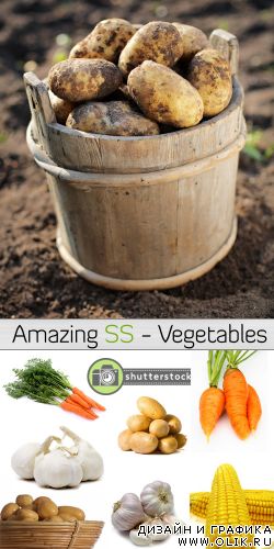 Amazing SS - Vegetables | Овощи