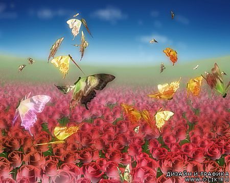 Футаж: Цветы и бабочки (V1802)