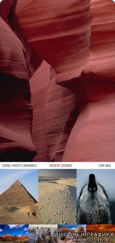 Corel Photo Libraries | COR-664 | Desert Scenes