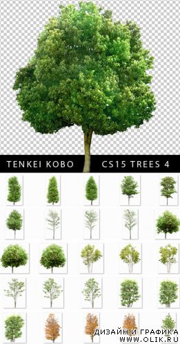 Tenkei Kobo - CS15 - Trees 4
