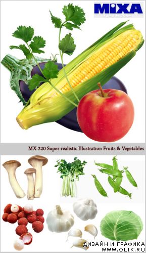 Super-realistic Illustration Fruits & Vegetables