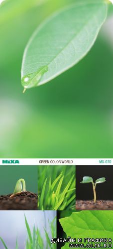 Mixa | MX-070 | Green Color World