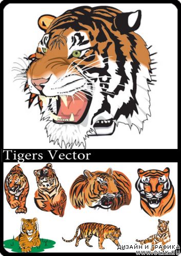 Tigers Vector 2010