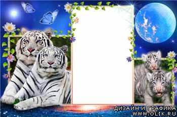 Рамка для фото - Белые тигры