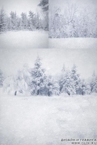 Зимний лес | Winter Forest