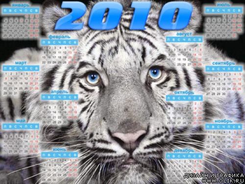 Календарь с белым тигром на 2010