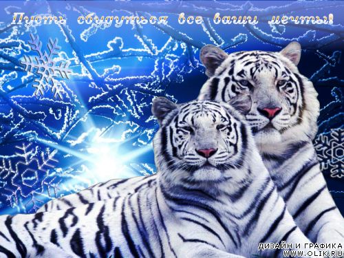Лучшее Новогоднее Музыкальное Видео Поздравление С Тигром