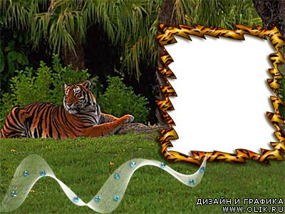 Рамочка для фото с тигром