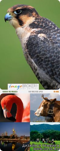 ImageBroker | IB-066 | Varios HQ Images