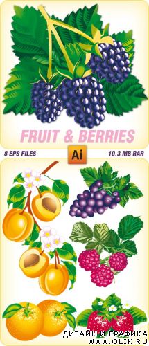 Векторный клипарт - Fruit & Berries