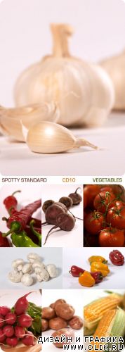 Spotty Standard | CD10 | Овощи