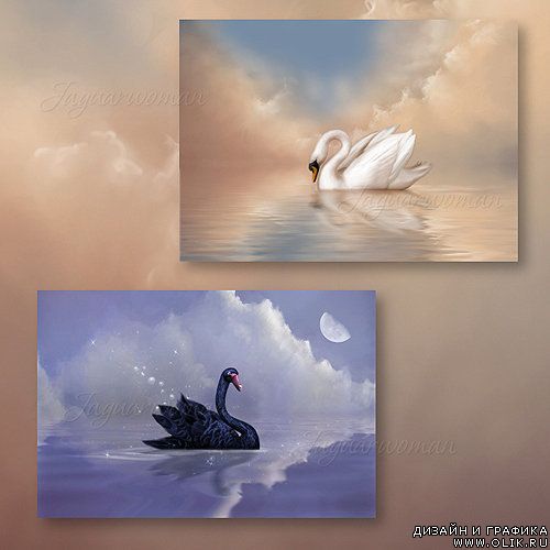 Wild Swans - Дикие лебеди