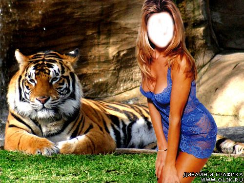 Шаблон для Фотошоп Девушка и тигр