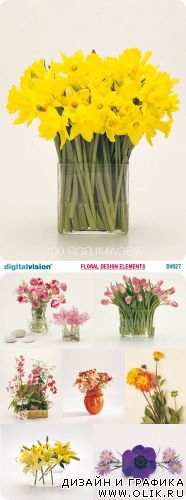 Digital Vision | DV027 | Floral Design Elements