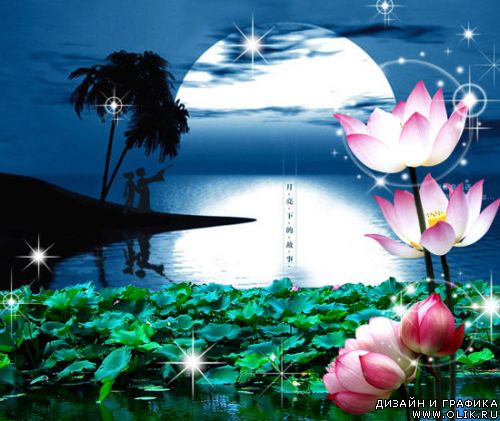 Beautiful Lotus and Full Moon