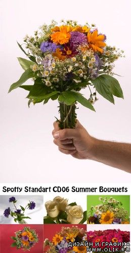 Spotty Standart CD06 Summer Bouquets