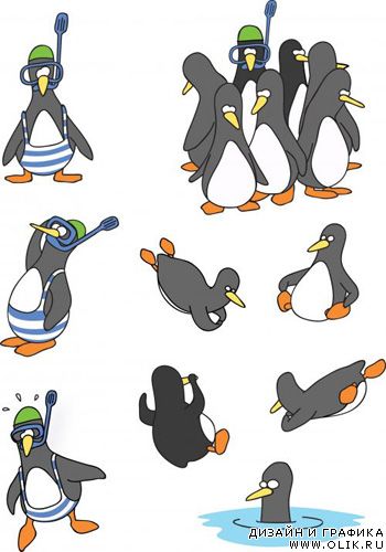 Funny Penguin | Пингвины