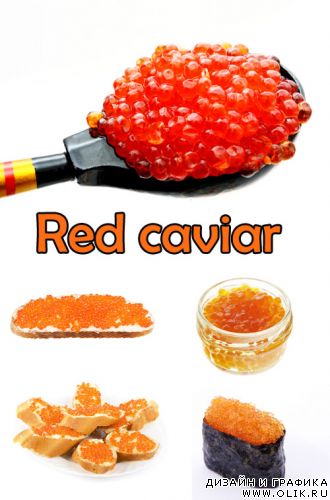 Red caviar clipart 