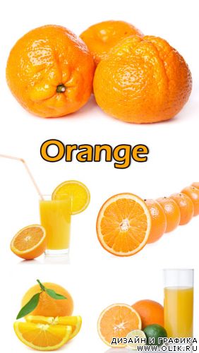 Orange clipart 