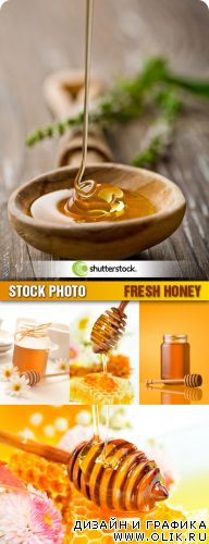 Amazing SS - Fresh Honey