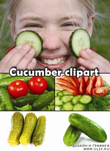 Cucumber clipart 