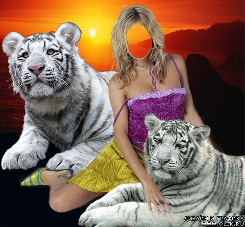 Шаблон для фотошоп - С белыми тиграми