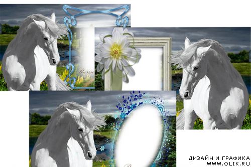 Фоторамка - Белая лошадка