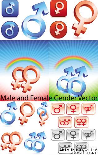 Male and Female Gender Vector