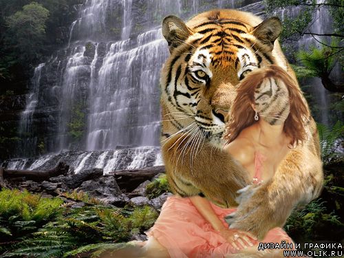 Шаблон для фотошоп - В обнимку с тигром